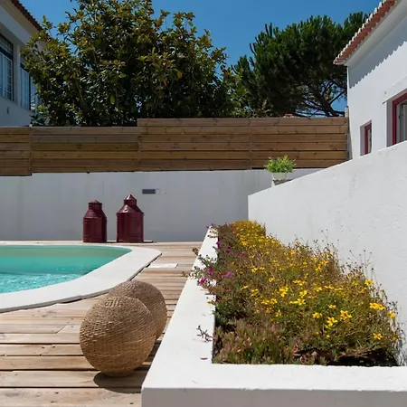 Sunny 1 Parede