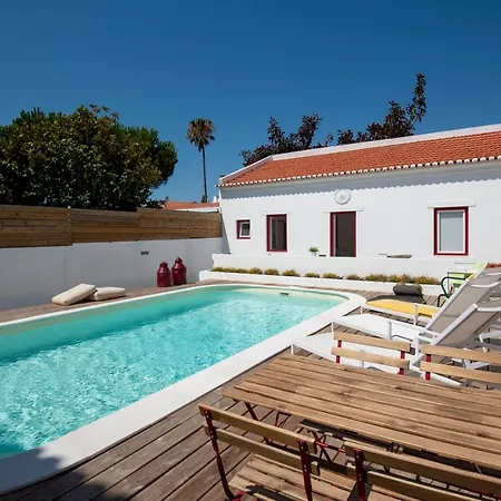 Sunny 1 Parede