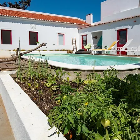 Sunny 1 * Parede